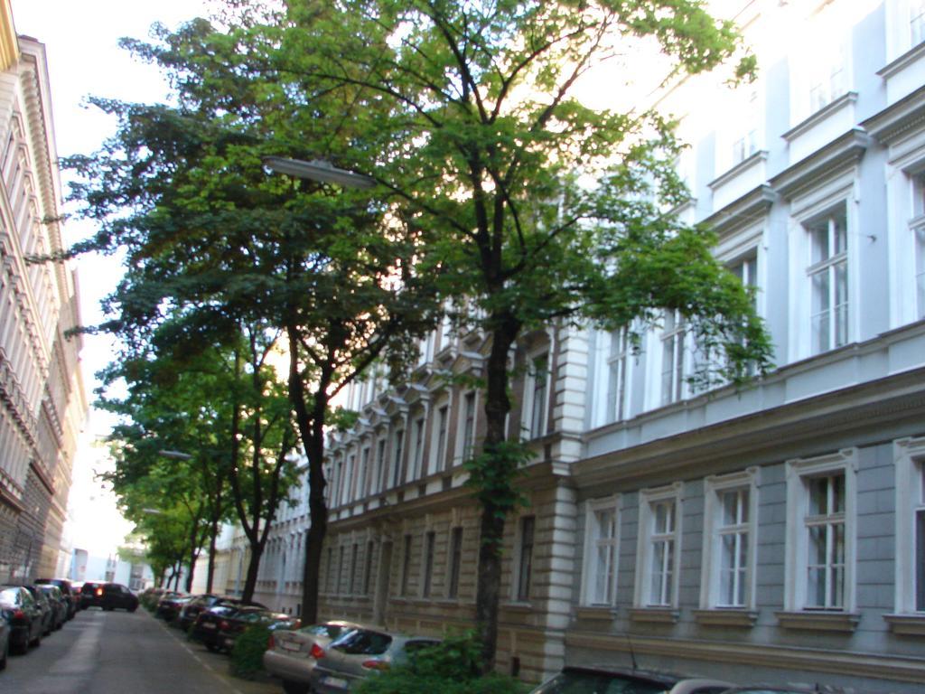 Charming Viennese Home Dış mekan fotoğraf